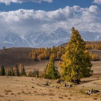 Осень горная :: Виктор Четошников