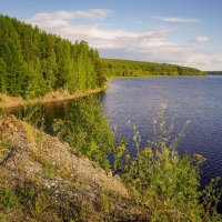 Андрюшинское водохранилище # :: Николай Гирш