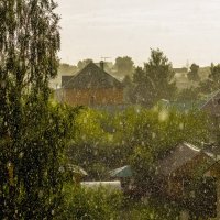 Акварель дождя :: Петр Беляков