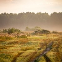 Дорога :: Александр 