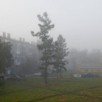 Утро туманное.... :: Дмитрий (Горыныч) Симагин