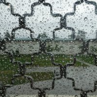 Дождь за окном :: Татьяна 