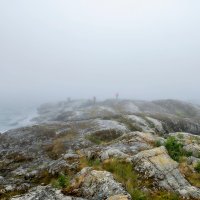 Туман на острове Есусаарет. :: Владимир Питерский