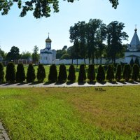 "Хоровод" деревьев на территории Николо-Угрешского монастыря :: Александр Буянов