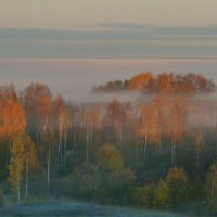 МОЯ ДЕРЕВНЯ, из окошка. :: Виктор Осипчук