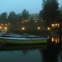 В тумане :: Ирина Фирсова