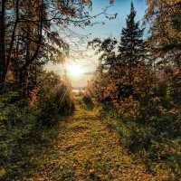 Дорога к солнцу :: Vladimbormotov 