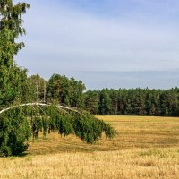 "Родина юности, детства - малая наша земля..." :: Сяргей Зайцаў (Lesavik)