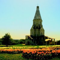 Пропитанное  солнцем   Коломенское :: олег свирский 