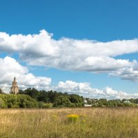 Родные просторы. :: Владимир Безбородов