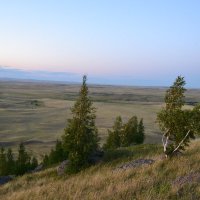 Горные берёзки,встречают... :: Андрей Хлопонин