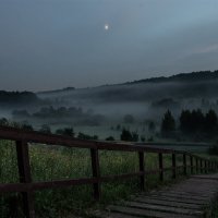 Подмосковные туманные вечера :: Александр Алексеев