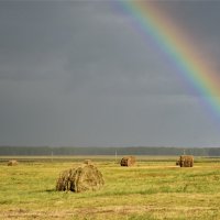 Подарок :: Светлана Щукина