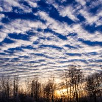 Кучевые облака на закате как стиральная доска :: Анатолий Клепешнёв