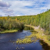 Осень на реке Чуть. 16 км от Ухты, таёжные просторы Республики Коми :: Николай Зиновьев