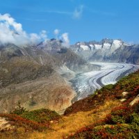 Aletschgletscher :: Elena Wymann