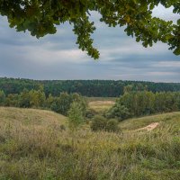 Осенние просторы... :: Владимир Жданов