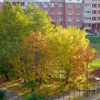 Осенний пейзаж :: Вера Щукина