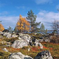 Осень в саду камней :: Сергей Курников