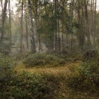 В лесу. :: Людмила 