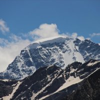 В снежной "кепочке" :: Надежда 