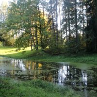 Павловский парк. Сентябрь :: Наталья Герасимова