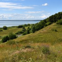 Озеро Плещеево с Александровой горы. :: tatiana 