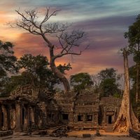 Утренний Ангкор-Ват...Камбоджа! :: Александр Вивчарик