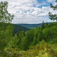 Краски лета, тишина- лучшее лекарство :: Наталья Димова