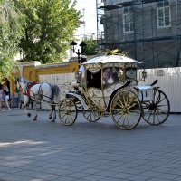 "Я не извозчик! Я водитель кобылы!" :: Александр 