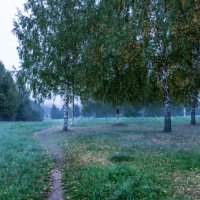 Холодное утро :: Владимир Безбородов