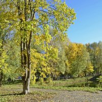 Осень в парке :: Нина Синица