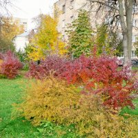 осень :: Владимир Холодницкий