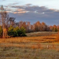 Осенний этюд. :: Восковых Анна Васильевна 