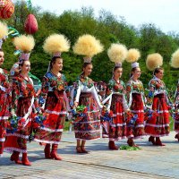 Буковинські дівчата :: Степан Карачко