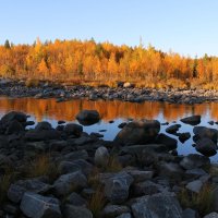 В осеннем золоте :: Ольга 