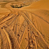 Рисунки пустыни :: Владимир Манкер