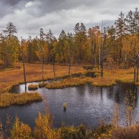 ... :: Евгений Житников