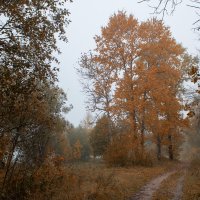 сентябрь :: Владимир Зеленцов