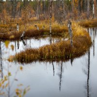 Природа тоже ставит знаки препинания :: Роман Дудкин