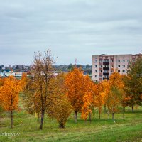 Золотое убранство осени.  (Снято на Canon EOS 300d) :: Анатолий Клепешнёв