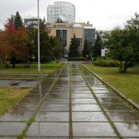 После дождя. :: Радмир Арсеньев