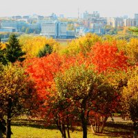 осень в городе... :: Наталия 