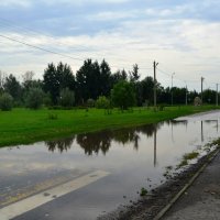 Старочеркасская. Ефремовский парк после дождя. :: Пётр Чернега