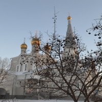Введенский храм. :: Георгиевич 