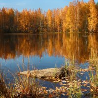 Осень в Карелии :: Анжела Пасечник