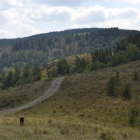 Летний поход в Каркаралы. :: Андрей Хлопонин