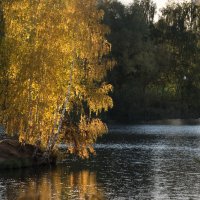 Осень в Митине. :: Владимир Безбородов