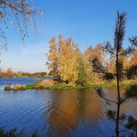Солнечным октябрьским днём у реки Охта :: Елена Павлова (Смолова)