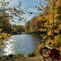 Солнечным октябрьским днём у реки Охта :: Елена Павлова (Смолова)